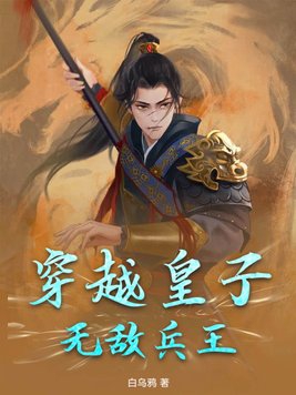 穿越皇子,无敌兵王