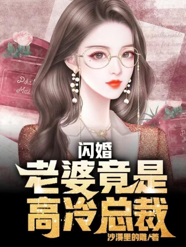 闪婚,老婆竟是高冷总裁