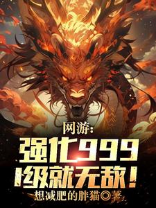 网游：强化999,1级就无敌！